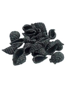 Bio Beluga Linsen Muscheln